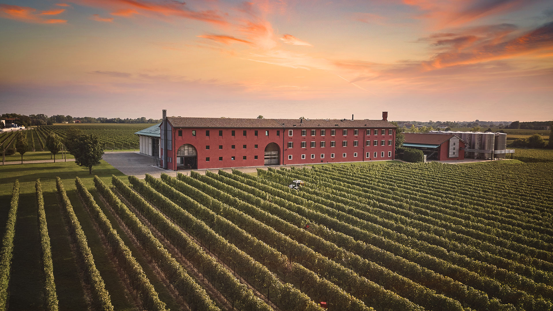 Le Monde Wine - La tenuta